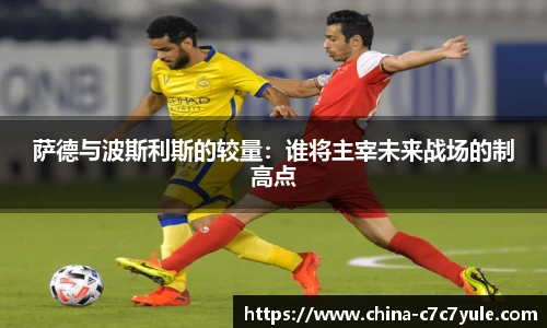 萨德与波斯利斯的较量：谁将主宰未来战场的制高点